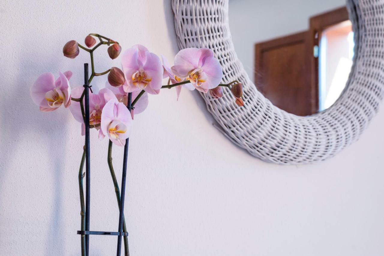 Romantic & Charming Apartment สการ์ลีโน ภายนอก รูปภาพ